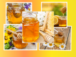 Honey Season